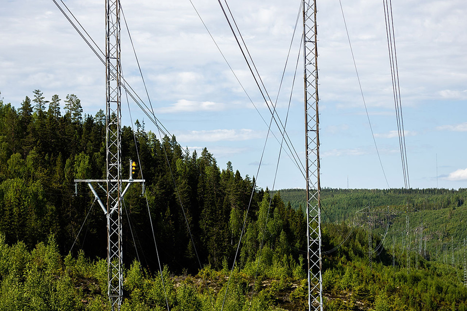 Kraftledningar och kraftledningsstolpar i skogslandskap