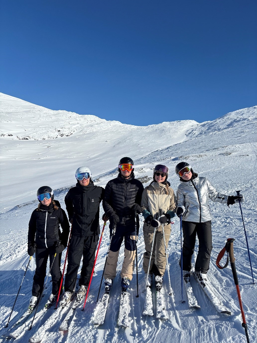 Fem personer åker skidor.