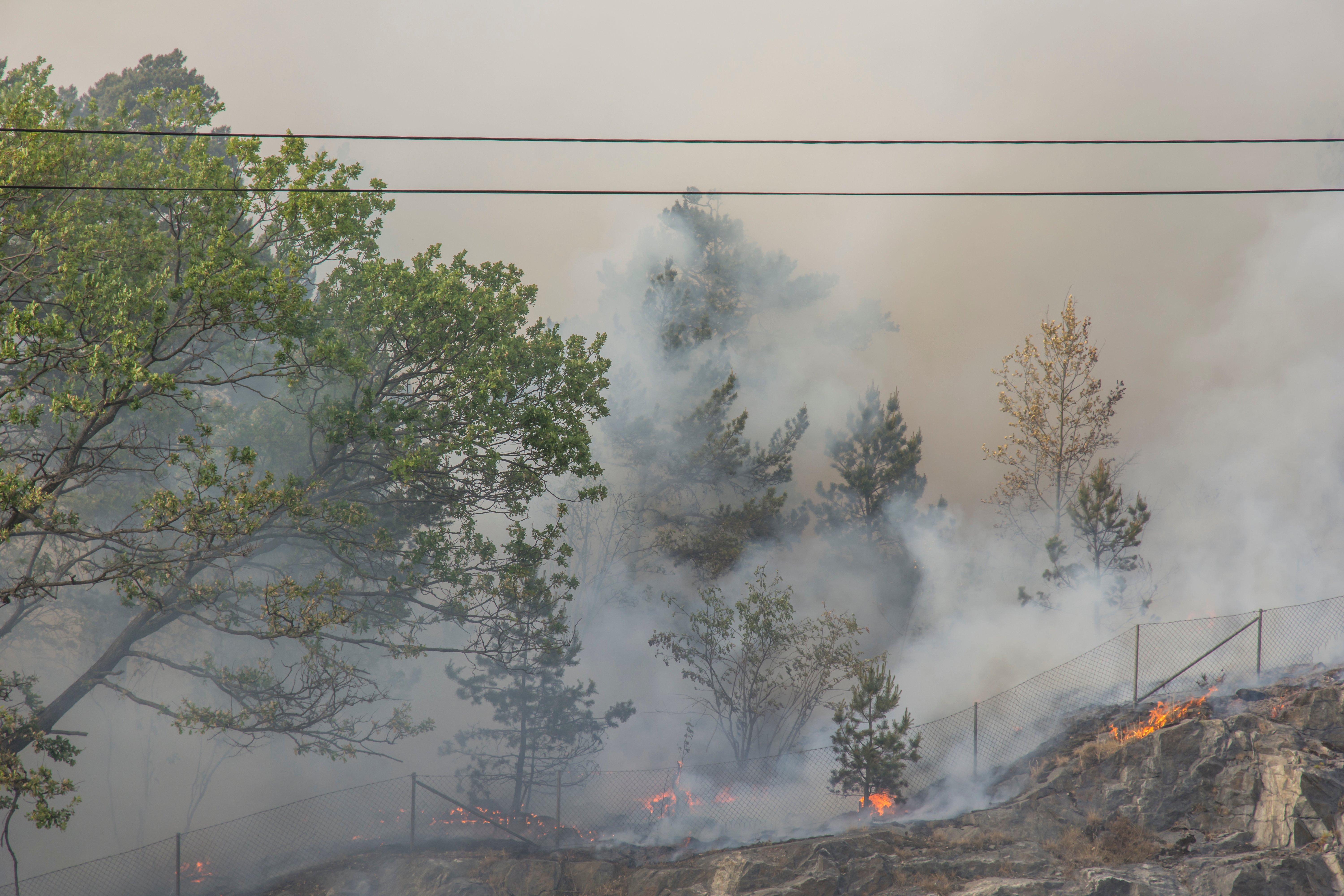 Brandrök från skog och mark nära elledningar