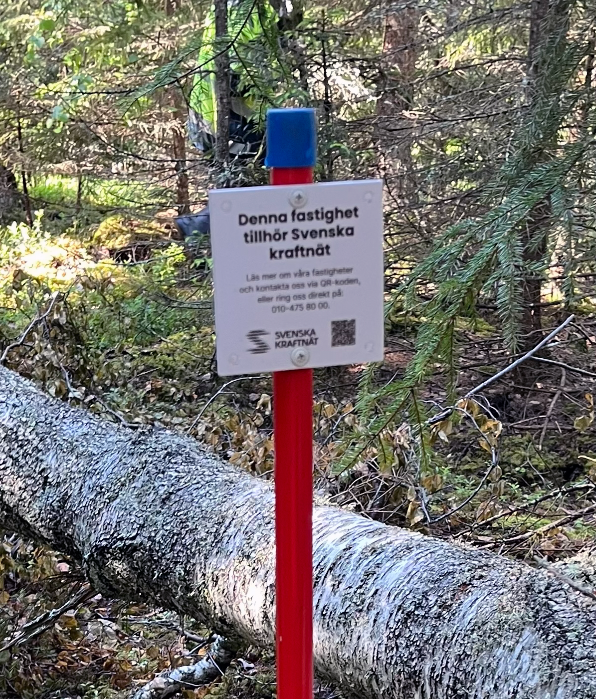 Skylt i skogen där det står denna fastighet tillhör Svenska kraftnät