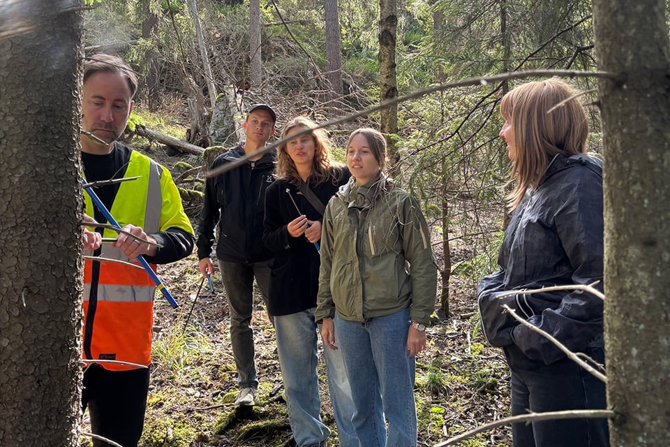 Traineerna bland träd i skog.