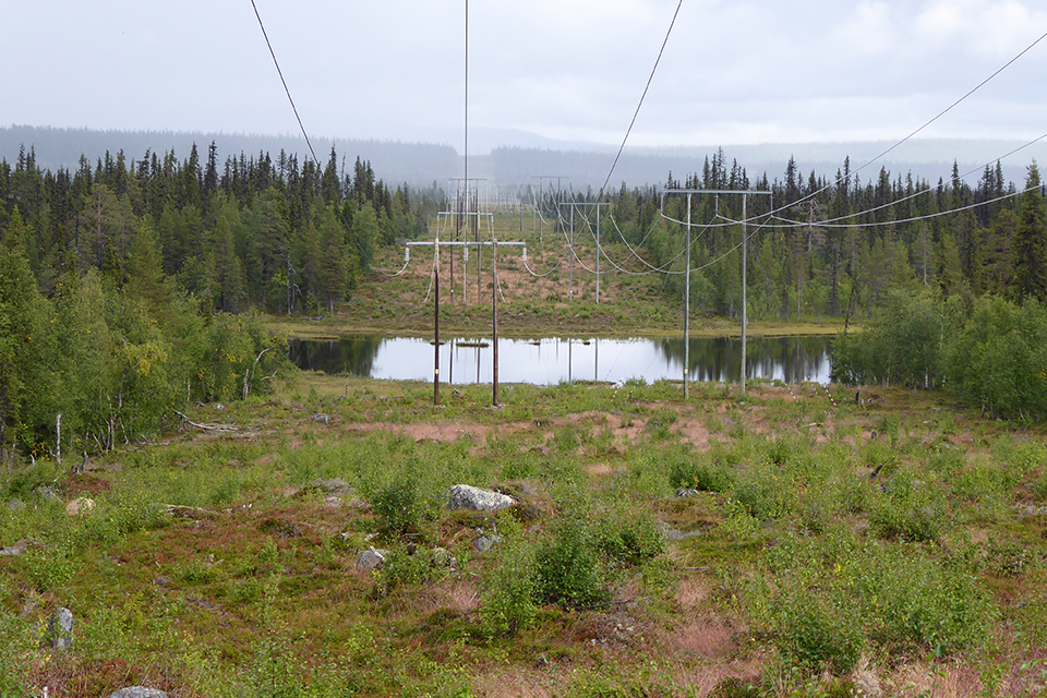 Kraftledningsgata i fjällmiljö