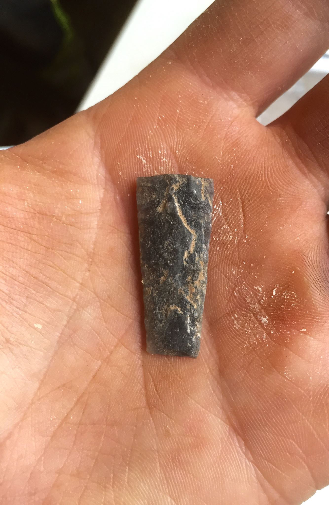 Bland annat den här pilspetsen hittades vid den arkeologiska utgrävningen