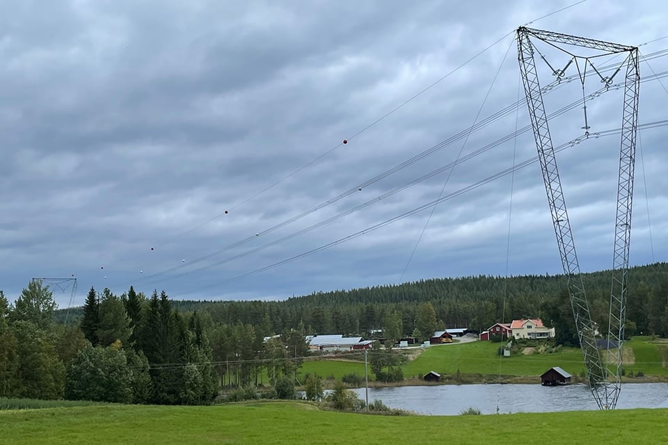 Grön åker präglar större delen av bilden. En kraftledning går över åkern och på kraftledningens lina hänger flyg