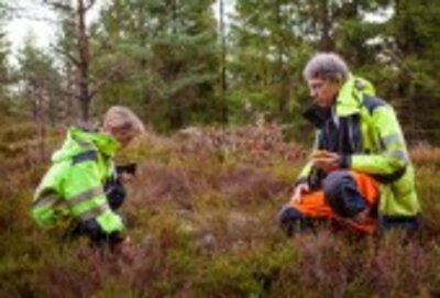 en kvinna och man som inspekterar skogsmark