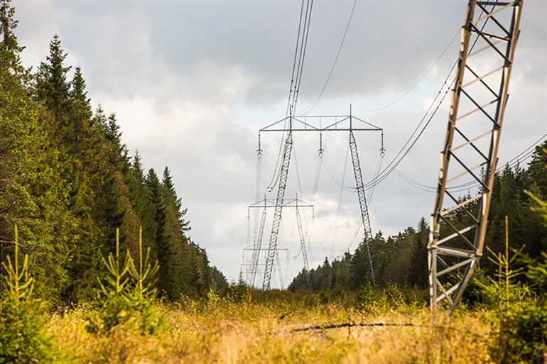 Kraftledningar och kraftledningsstolpe i skogslandskap