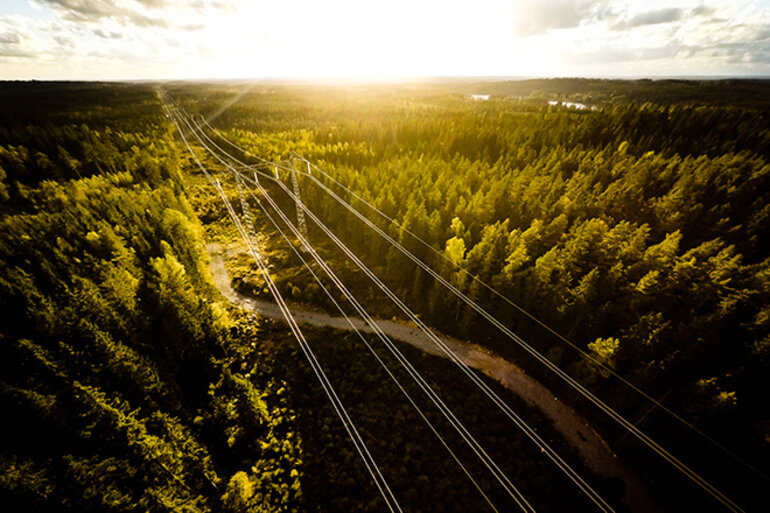 Kraftledningsgata genom skogslandskap