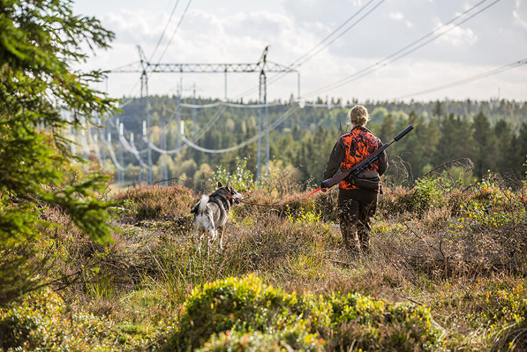 Kvinna med jaktgevär och en hund som går i en kraftledningsgata