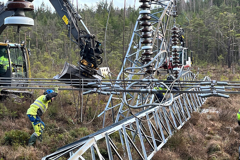 En man inspekterar en nedfallen kraftledningsstolpe som  ligger på marken i skogsområde.