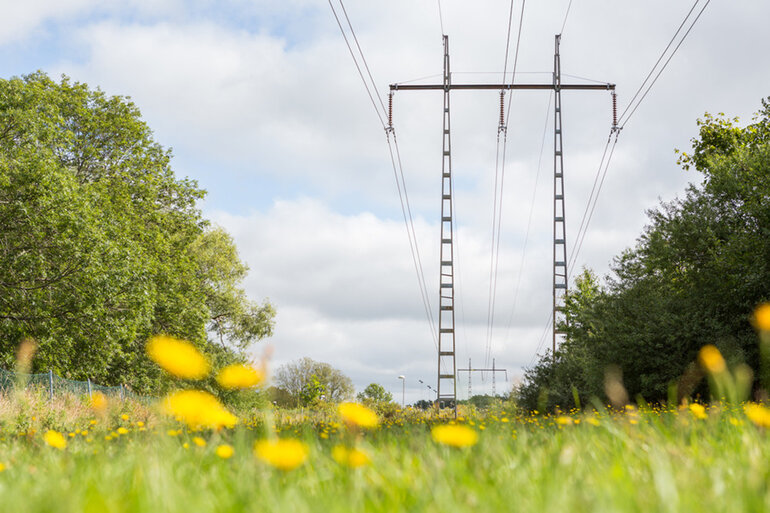 ledningsgata på sommaren