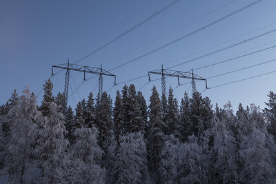 Porjus. Bild på kraftledning över skogsparti i skymning eller tidig morgon.