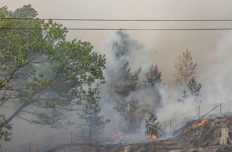 Skogsbrand i Sverige. 
