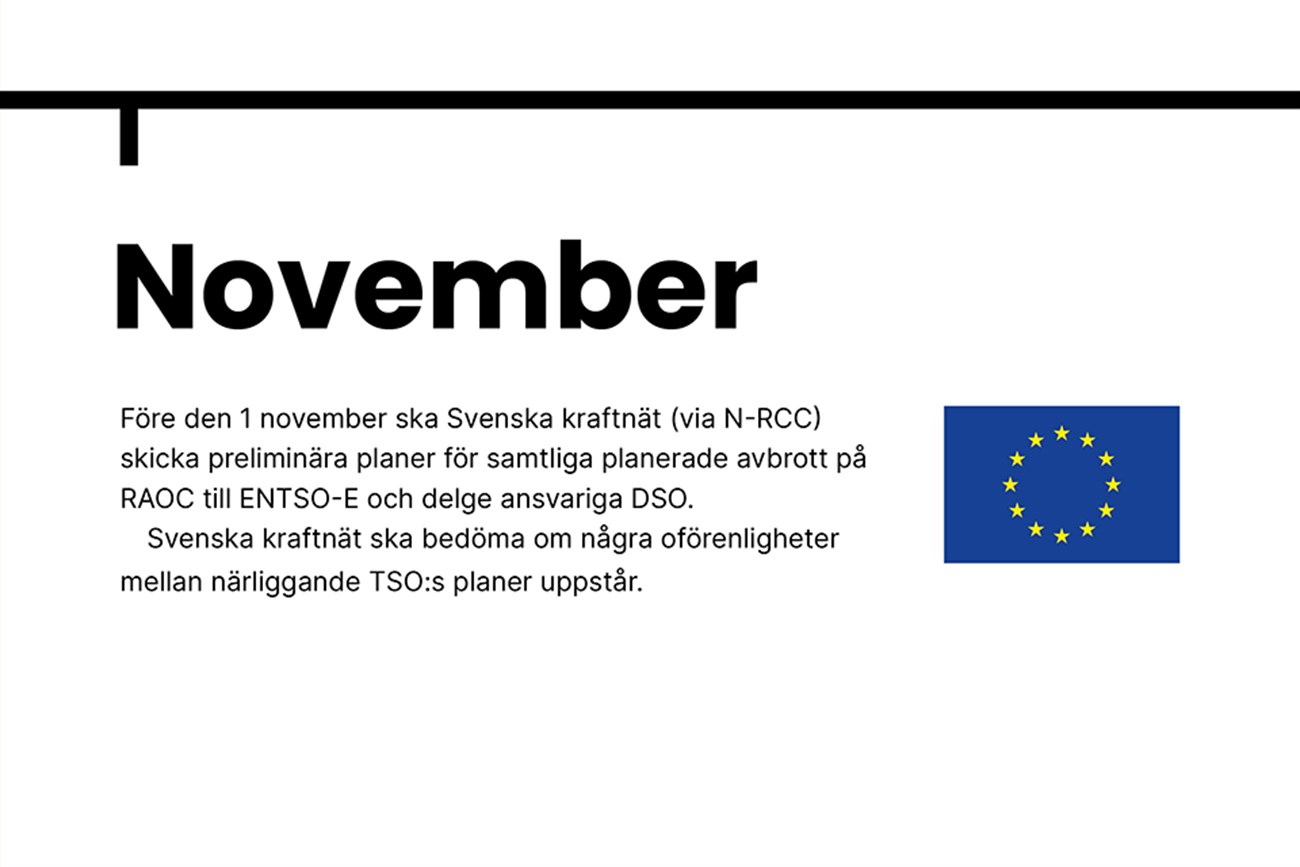 November. Före den 1 november ska Svenska kraftnät (via N-RCC) skicka preliminära planer för samtliga planerade avbrott på RAOC till ENTSO-E och delge ansvariga DSO. Svenska kraftnät ska bedöma om några oförenligheter mellan närliggande TSO:s planer uppstår.