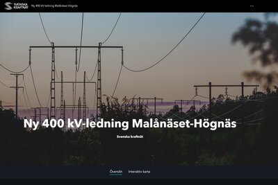 En bild på hur den interaktiva kartan ser ut