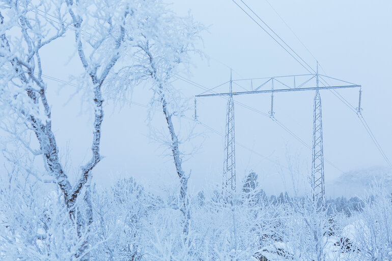 Bild på ledning i vinterlandskap