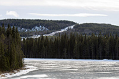 Kraftledning i ett vinterlandskap med skog