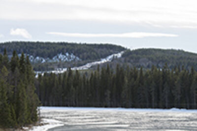 Kraftledning i vinterlandskap och skog