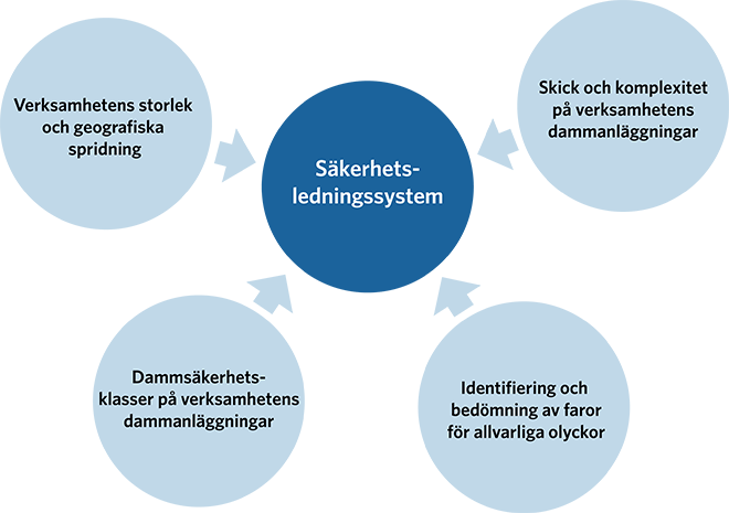 En verksamhetsutövare kan och bör anpassa och utforma säkerhetsledningssystemet och rutinerna för egenkontroll av dammsäkerhet utifrån verksamhetens specifika behov och utgå ifrån: verksamhetens storlek och geografiska spridning,skick och komplexitet på verksamhetens dammanläggningar, identifiering och bedömning av faror för allvarliga olyckor, dammsäkerhetsklasser på verksamhetens dammanläggningar.