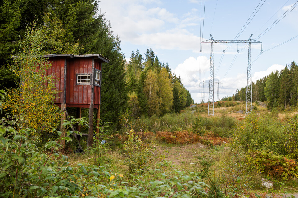 Ett jakttorn bredvid elledning i skogslandskap