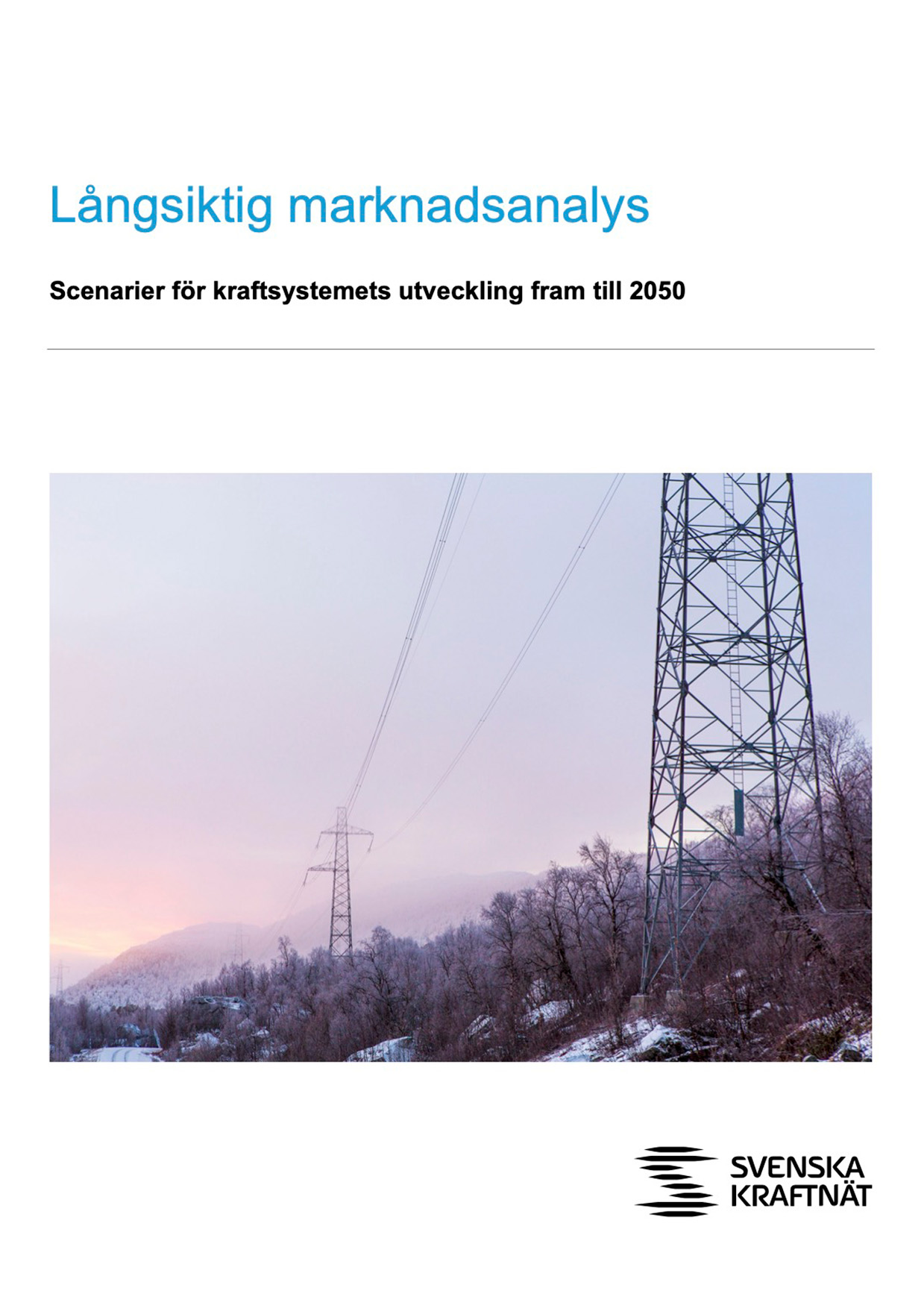 Framsida Långsiktig marknadsanalys med bild på kraftledning och kraftledningsstolpar i vinterlandskap