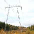 Pole in line for 400 kV, fall